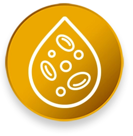 Miernik poziomu cukru we krwi