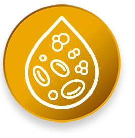 Ilość cukru we krwi